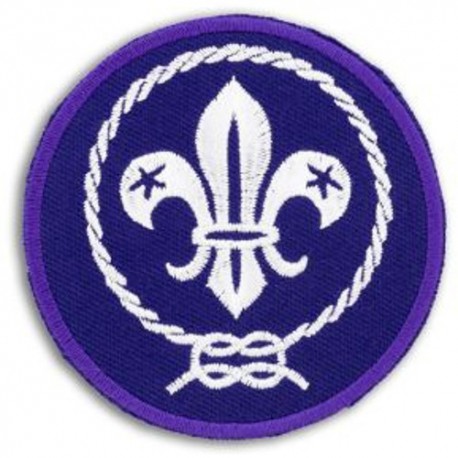 World badge